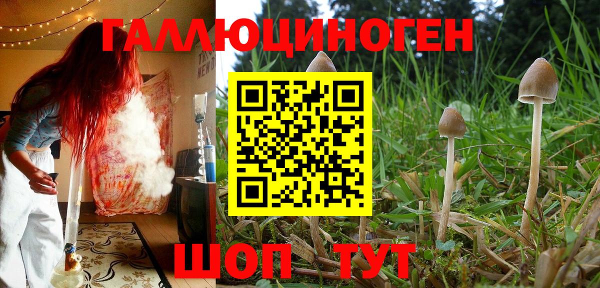 Псилоцибиновые грибы прущие грибы Сафоново