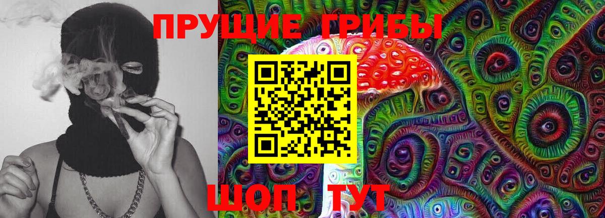 Галлюциногенные грибы MAGIC MUSHROOMS  Вход с VPN  Сафоново 
